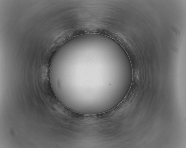 X0000114160964200910221605