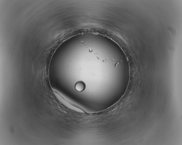 X0000114160965200910221604