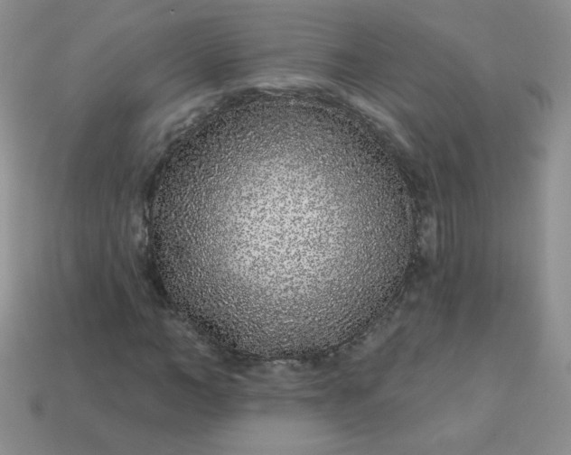 X0000114160966200910221604