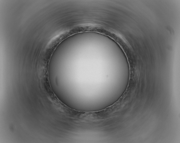 X0000114160967200910221604