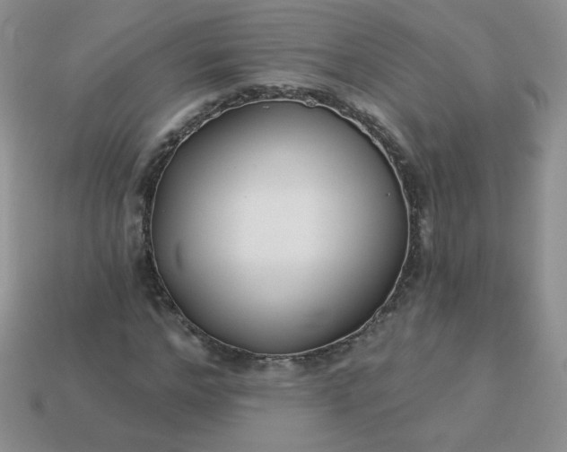 X0000114160968200910221604