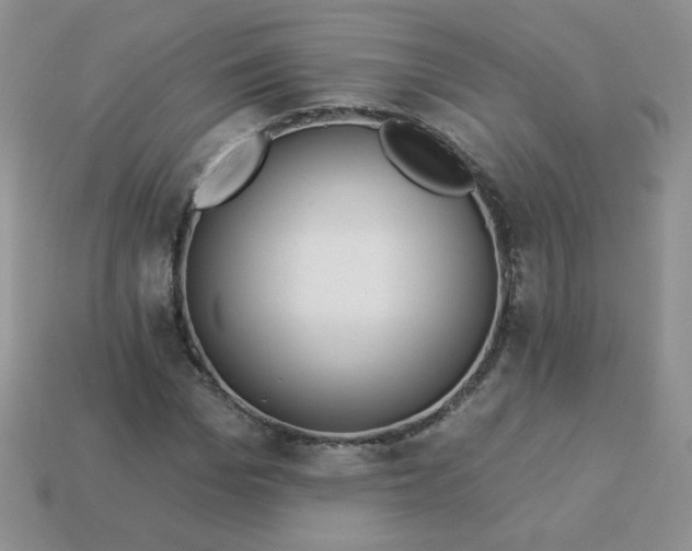 X0000114160969200910221604