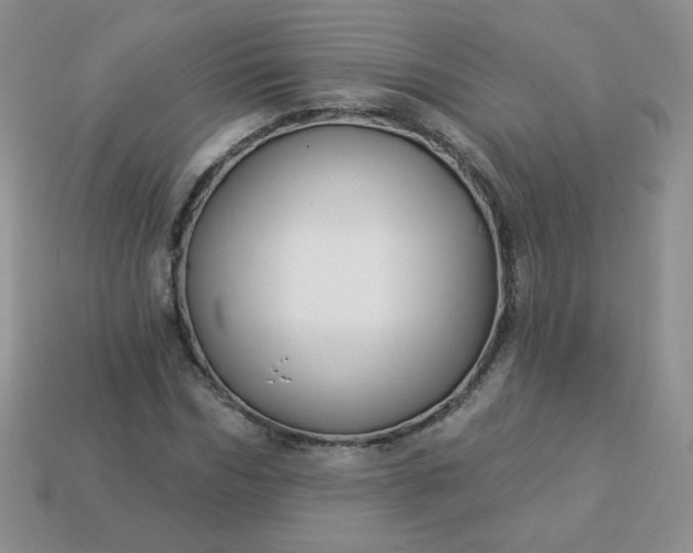 X0000114160970200910221604