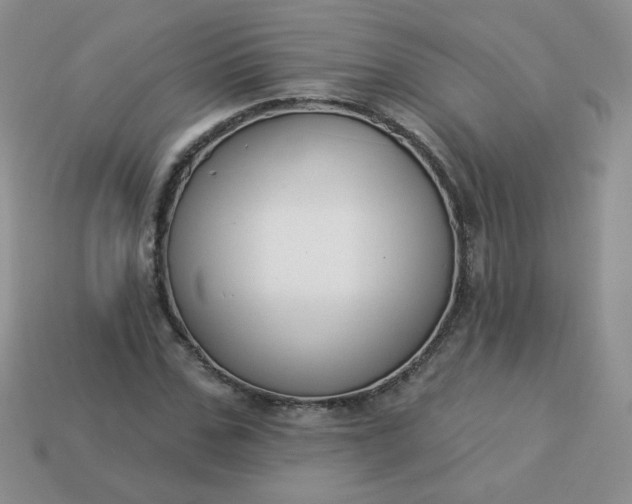 X0000114160971200910221604