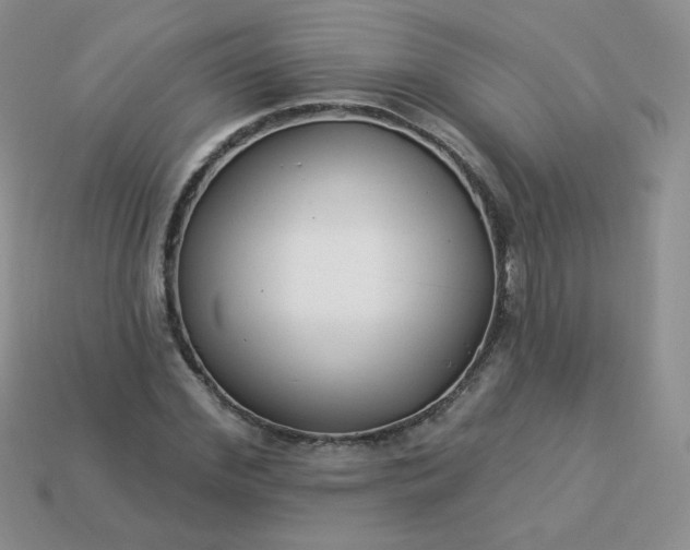 X0000114160972200910221604