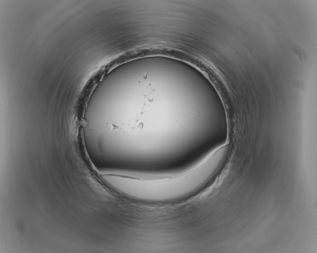 X0000114160973200910221604