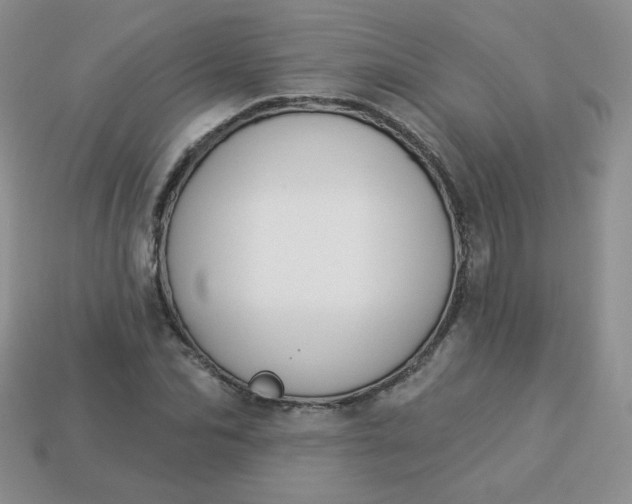 X0000114160974200910221604