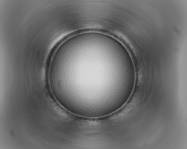 X0000114160975200910221604