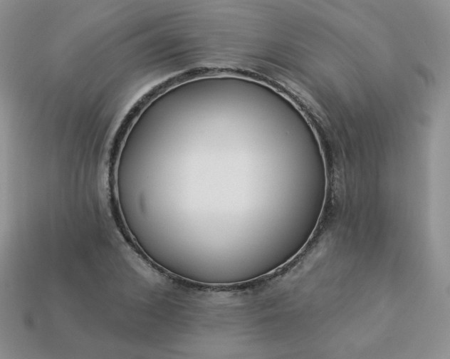 X0000114160976200910221604