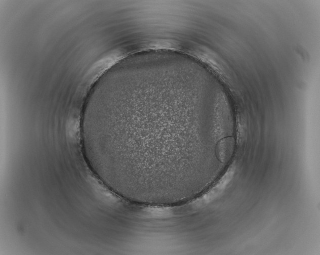 X0000114160977200910221604