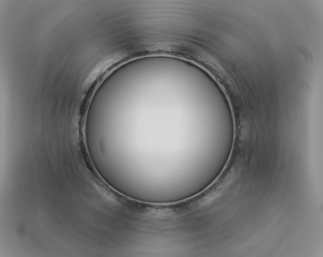 X0000114160978200910221604