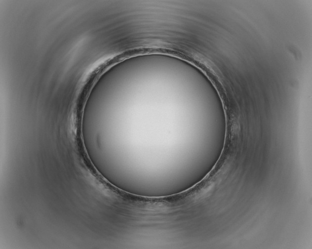 X0000114160979200910221604