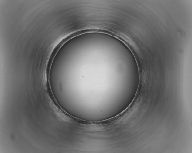 X0000114160980200910221604