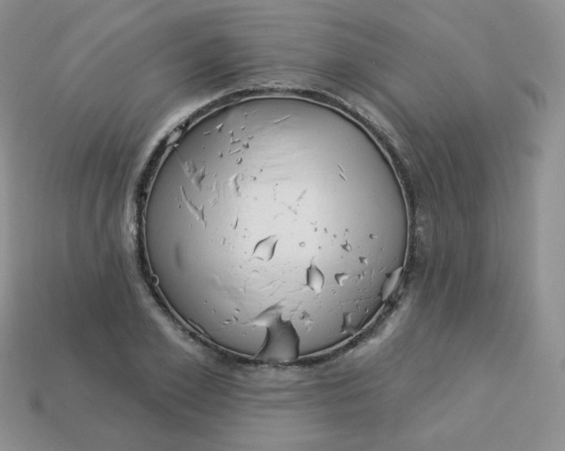 X0000114160981200910221604