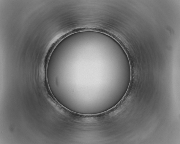 X0000114160982200910221604