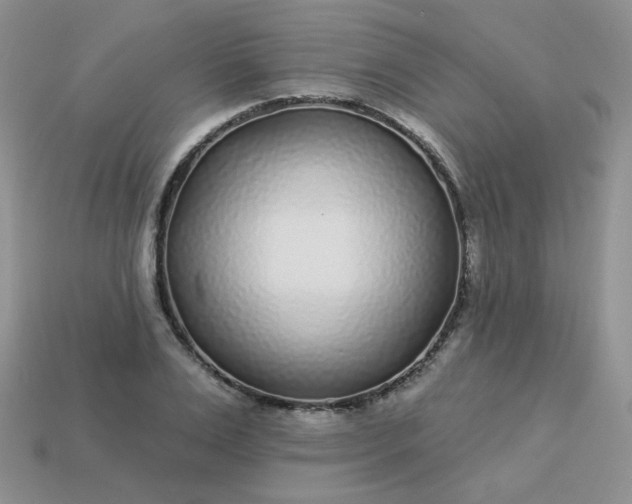 X0000114160983200910221604