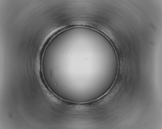 X0000114160984200910221604