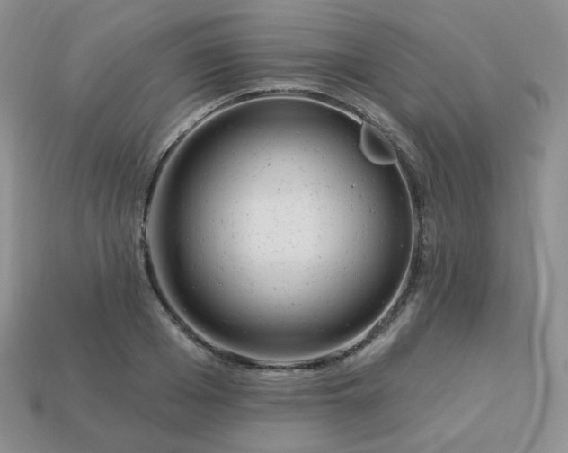 X0000114160985200910221604