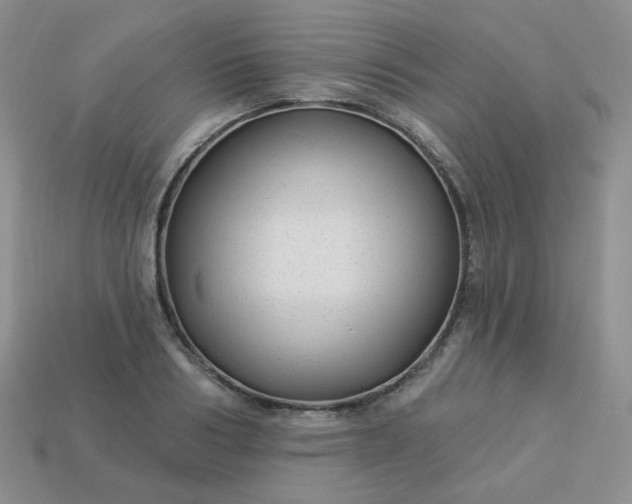 X0000114160986200910221604