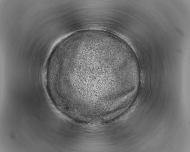 X0000114160987200910221604