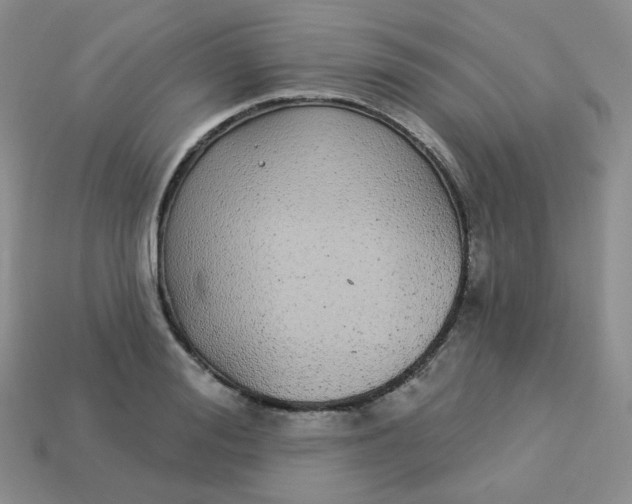 X0000114160988200910221604