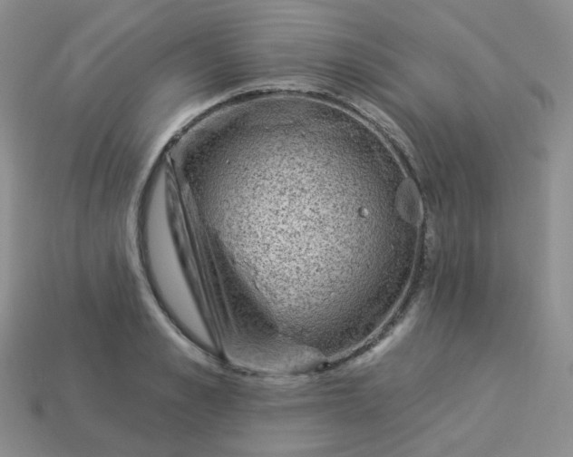 X0000114160989200910221604