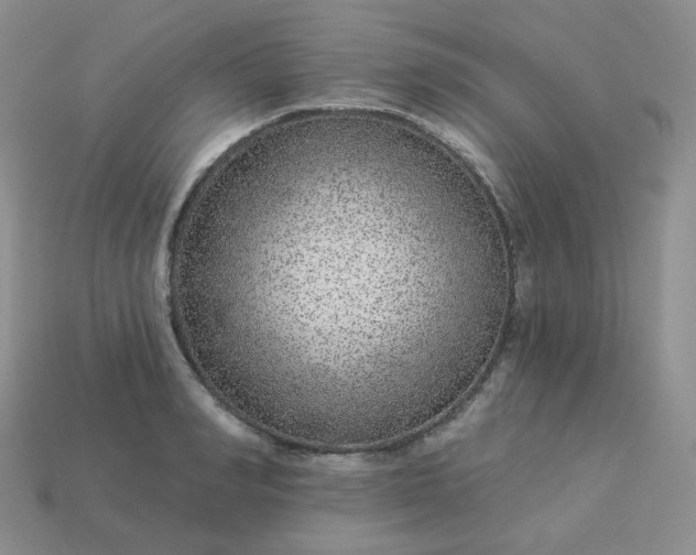 X0000114160990200910221604