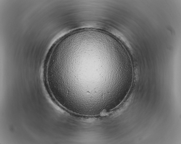 X0000114160991200910221604