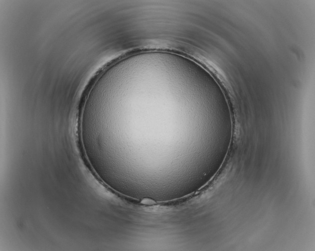 X0000114160992200910221604