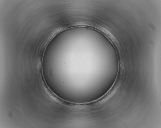 X0000114160993200910221604