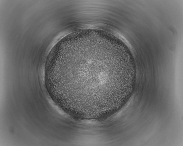 X0000114160994200910221604