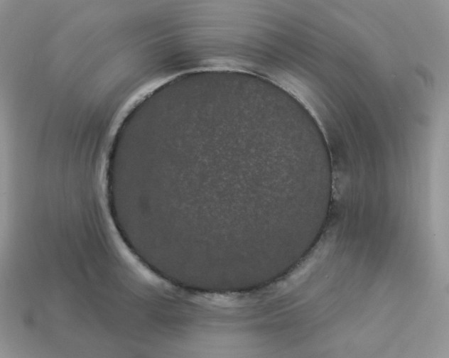 X0000114160995200910221604