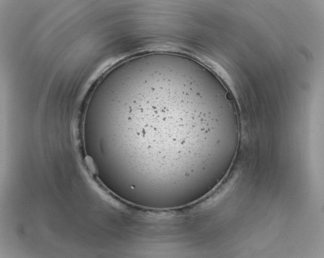 X0000114160997200910221604