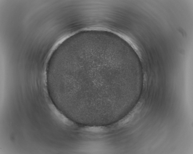 X0000114160998200910221604