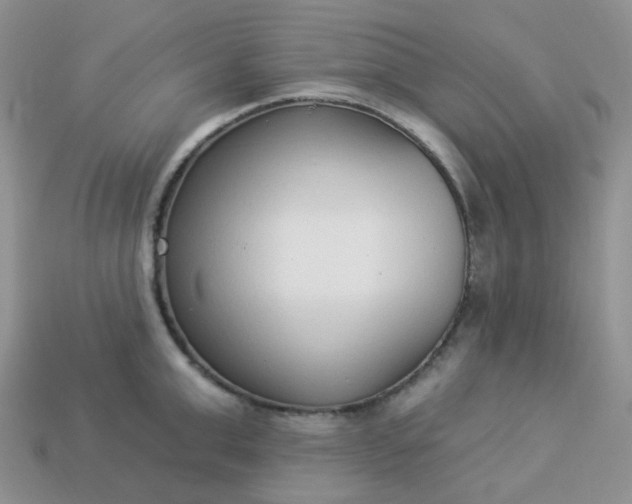 X0000114160999200910221604