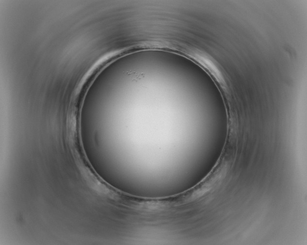 X0000114161000200910221604