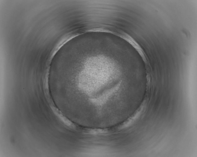 X0000114161002200910221604