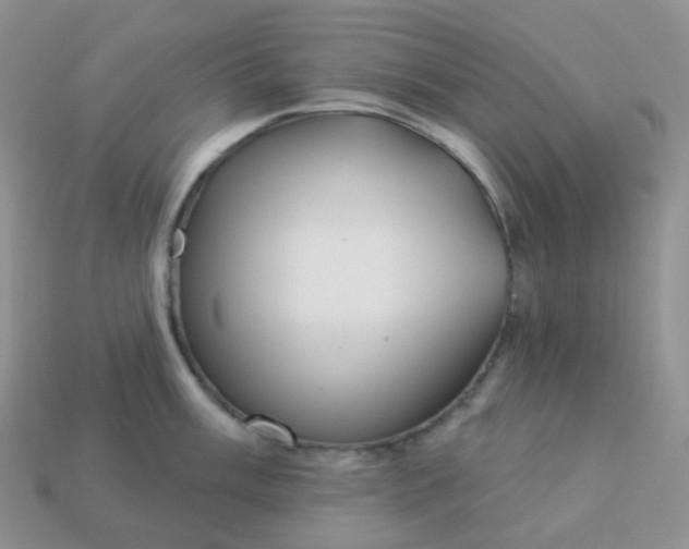 X0000114161003200910221604