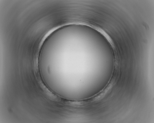 X0000114161004200910221604