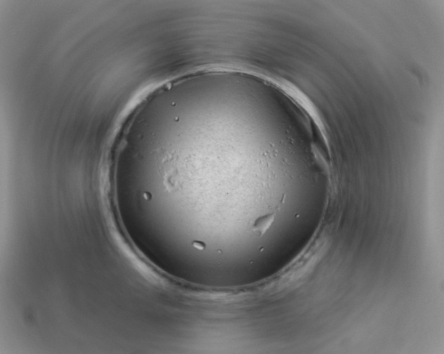 X0000114161005200910221604