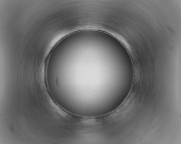 X0000114161006200910221604