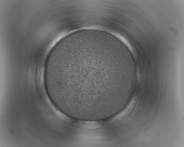 X0000114161007200910221604