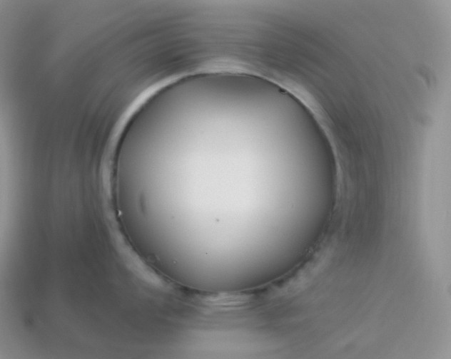 X0000114161008200910221604