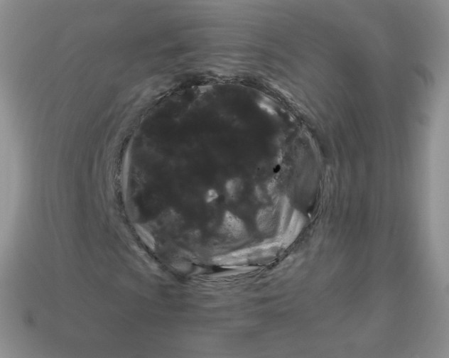 X0000114161009200910221603