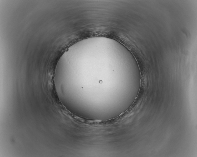 X0000114161010200910221603