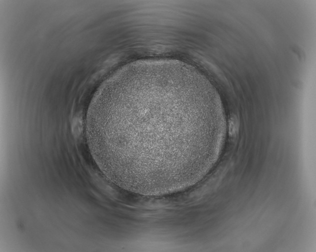 X0000114161011200910221603