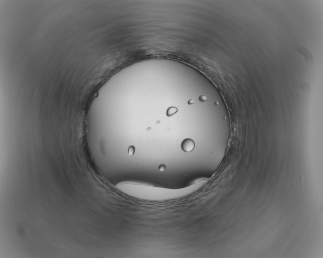 X0000114161012200910221603