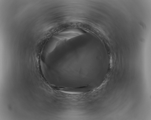 X0000114161013200910221603