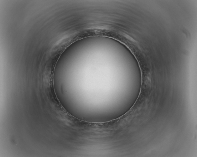 X0000114161014200910221603