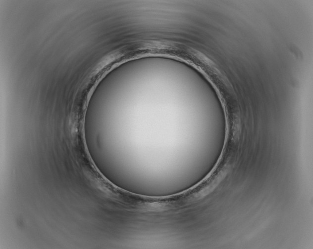 X0000114161017200910221603